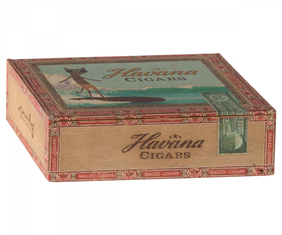 Mum & Dad Mice in Cigarbox