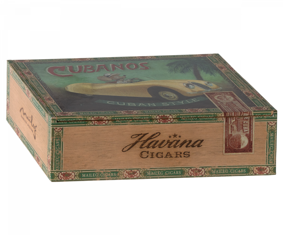 Grandma and Grandpa Mice in Cigarbox