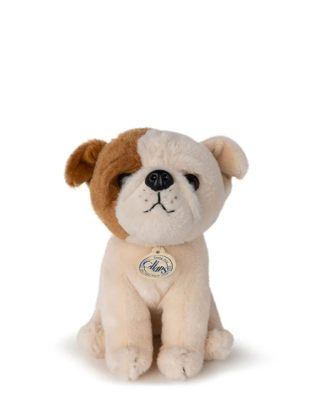 B.T. CHAPS Bertha the American Bulldog in Giftbox - 17cm