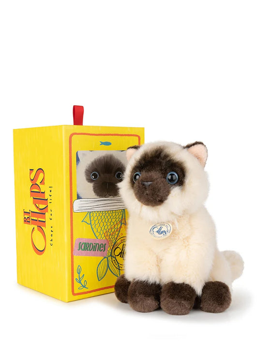 B.T. CHAPS Eddie the Siamese in Giftbox - 17cm