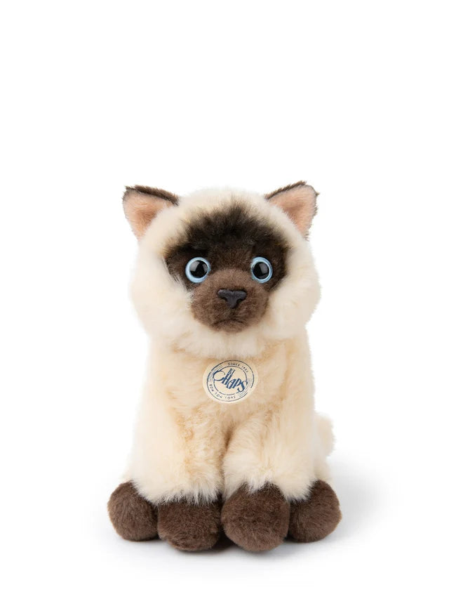 B.T. CHAPS Eddie the Siamese in Giftbox - 17cm