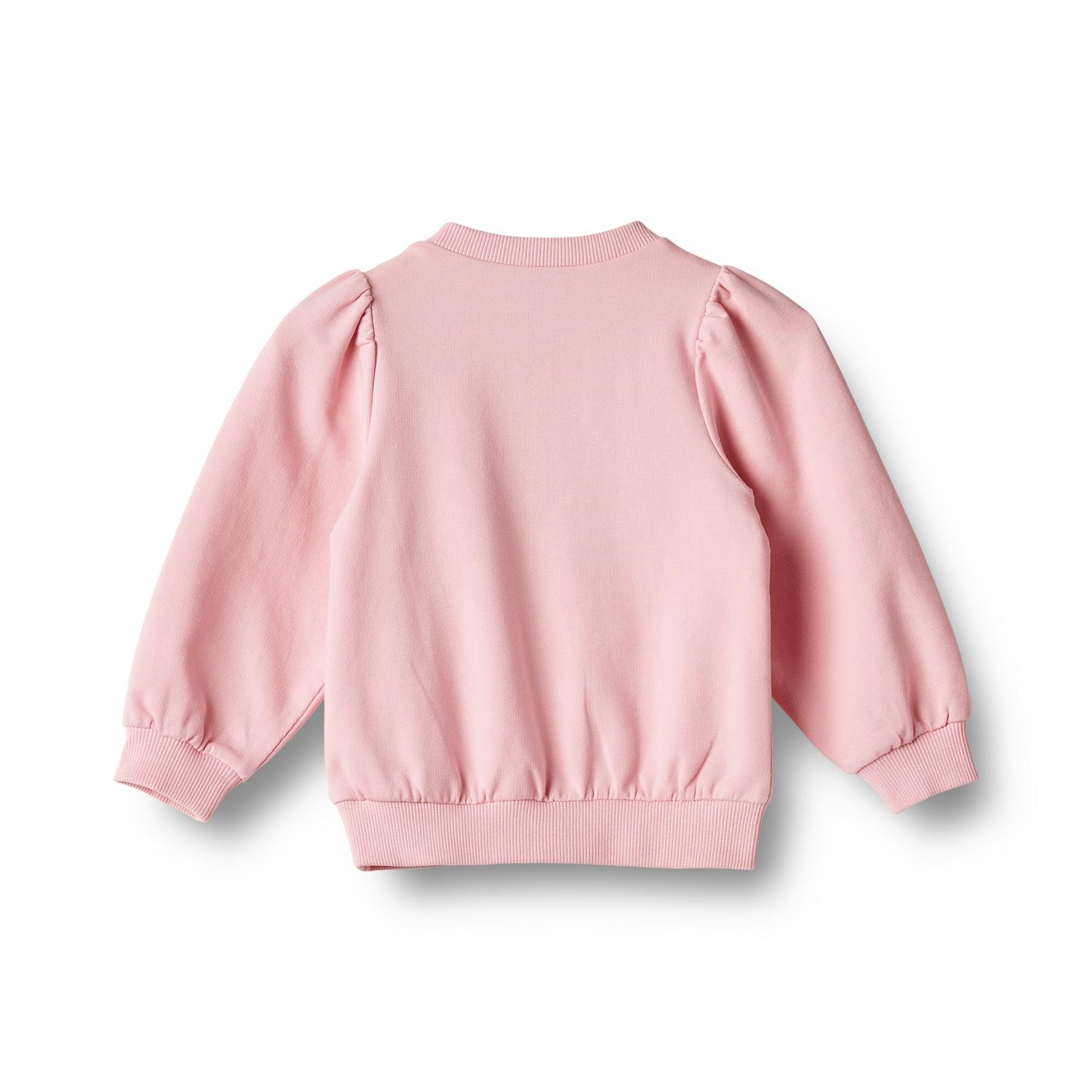 Embroidery Vega Sweatshirt