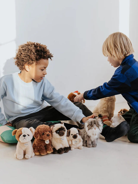 B.T. CHAPS Bertha the American Bulldog in Giftbox - 17cm