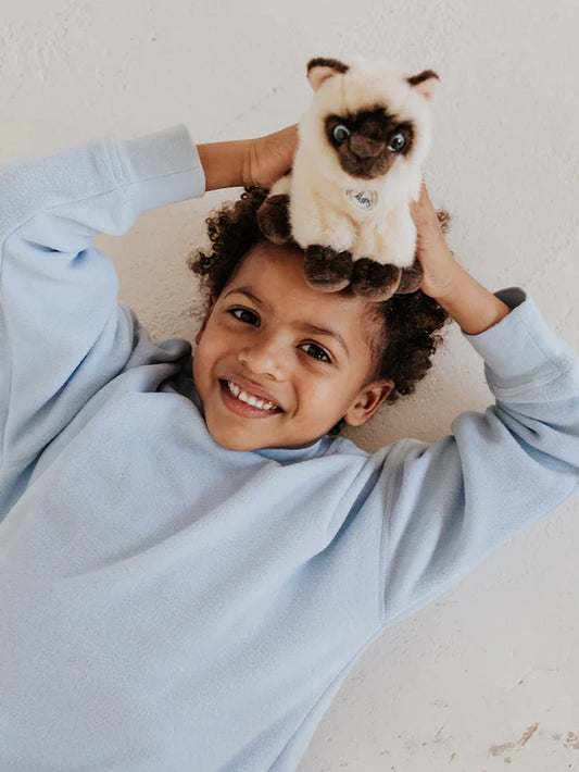 B.T. CHAPS Eddie the Siamese in Giftbox - 17cm