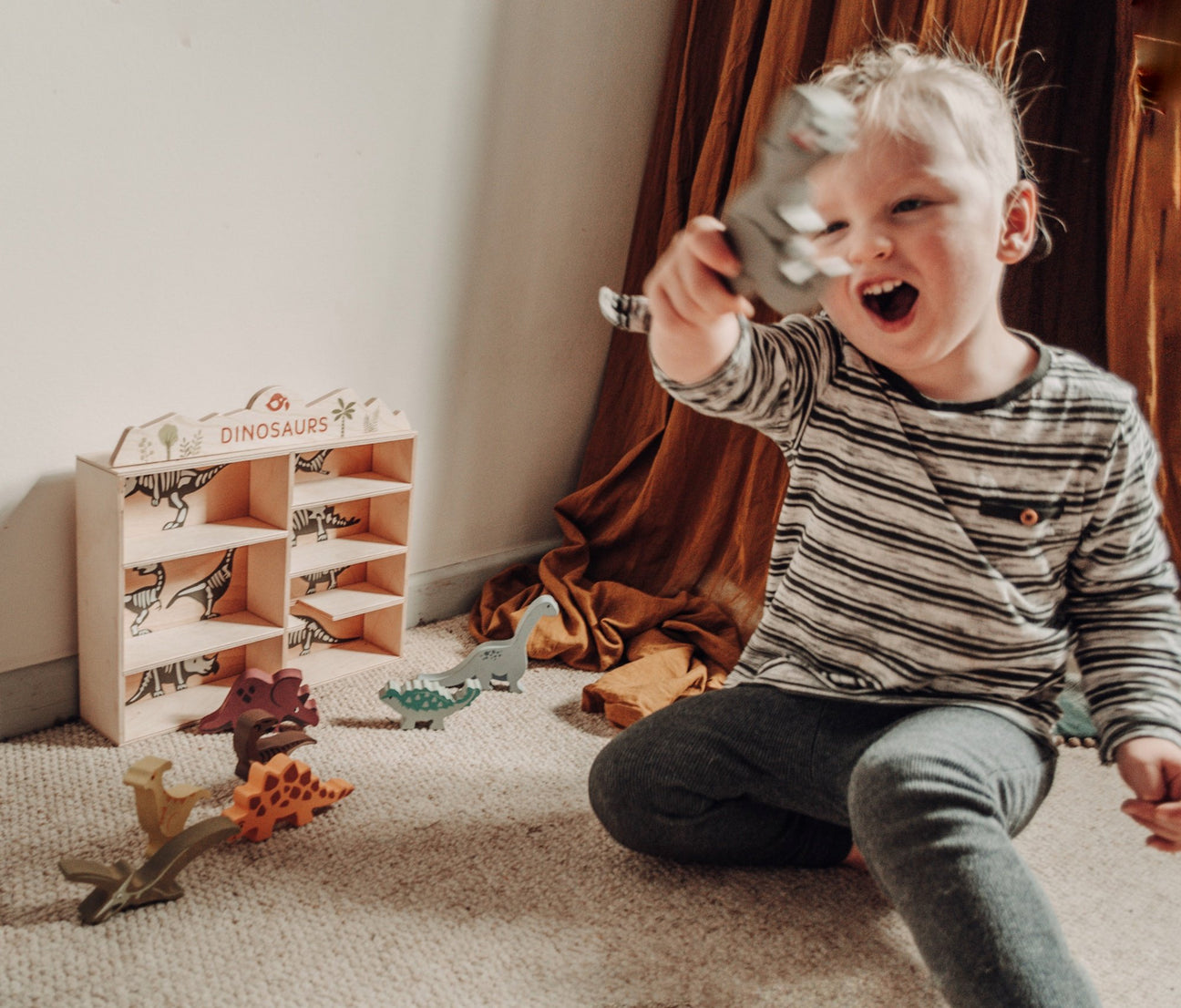 Wooden Dinosaur Set & Shelf
