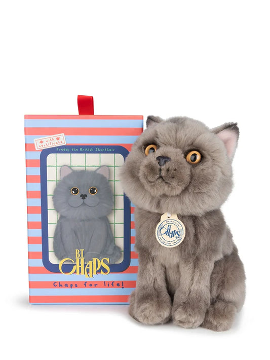 B.T. CHAPS Freddy the British Shorthair in Giftbox - 17cm