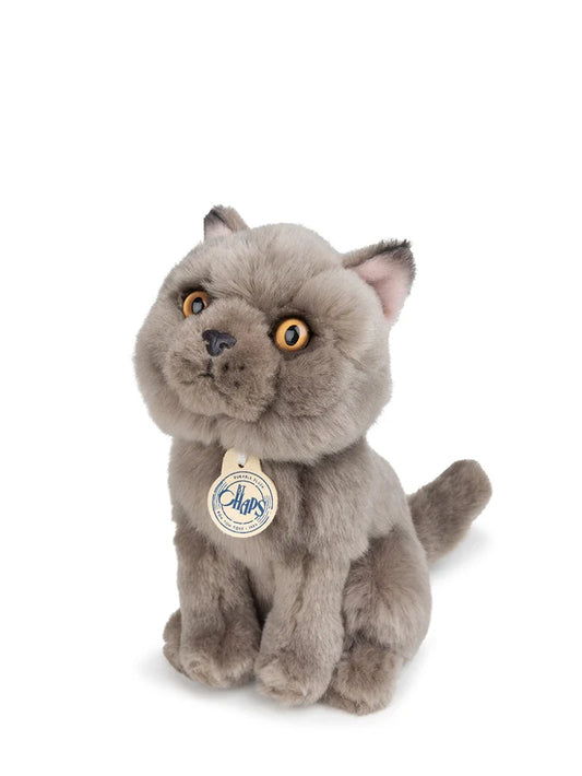 B.T. CHAPS Freddy the British Shorthair in Giftbox - 17cm