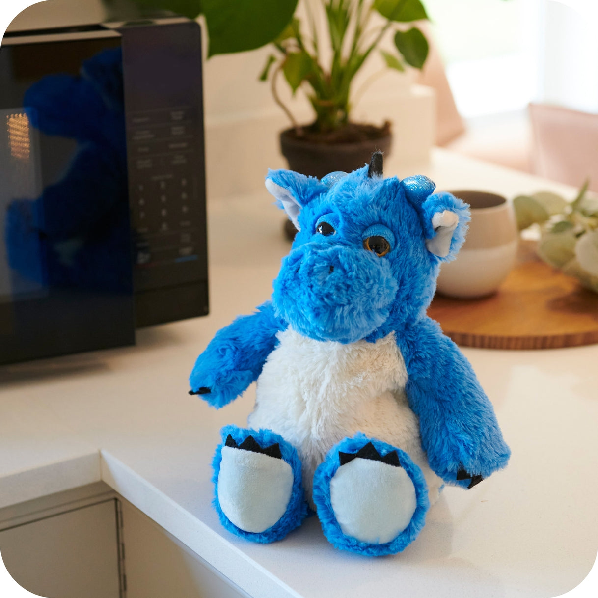 Large 13” Blue Dragon