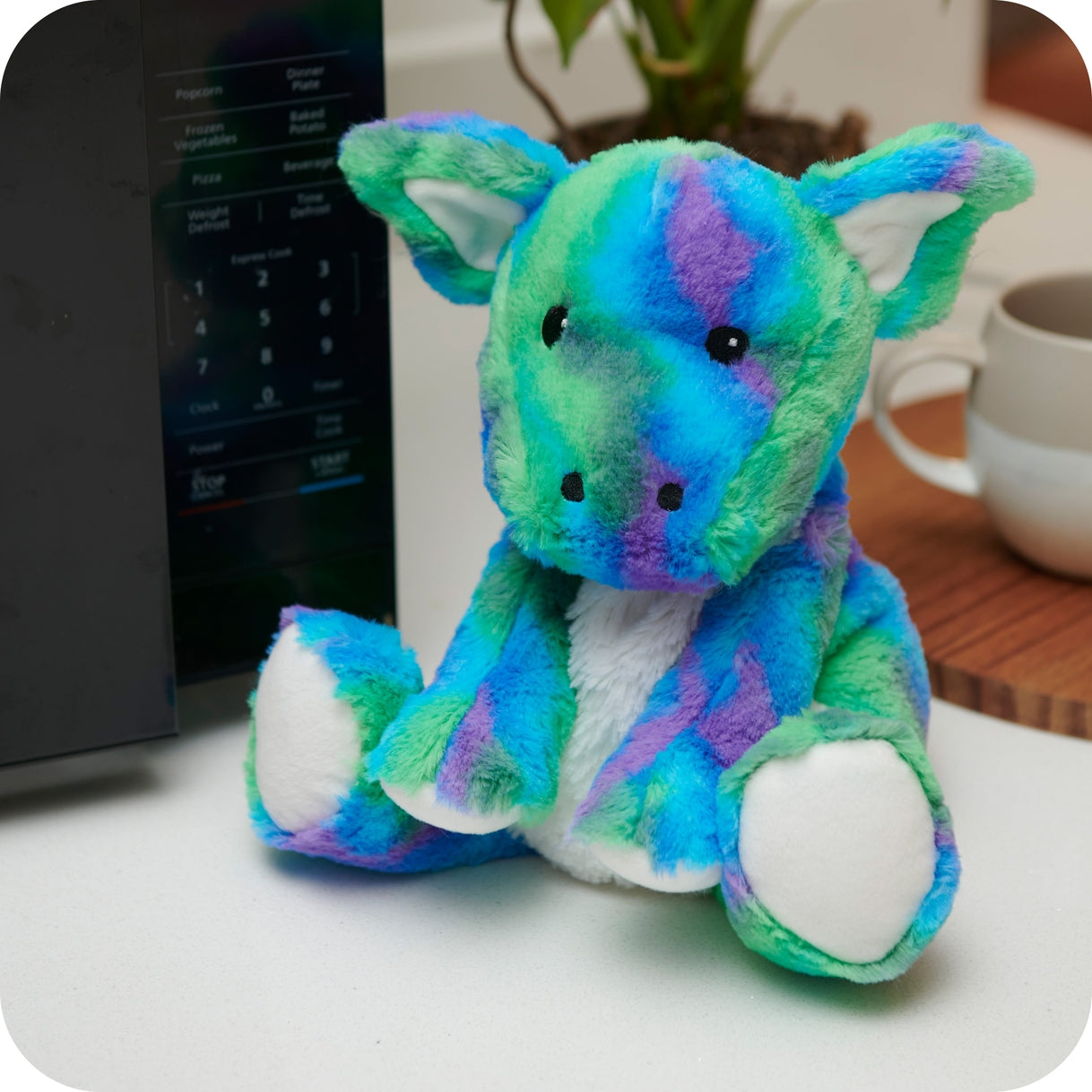 Large 13” Rainbow Dragon