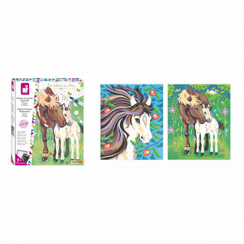 Painting By Numbers Watercolour - Horses
