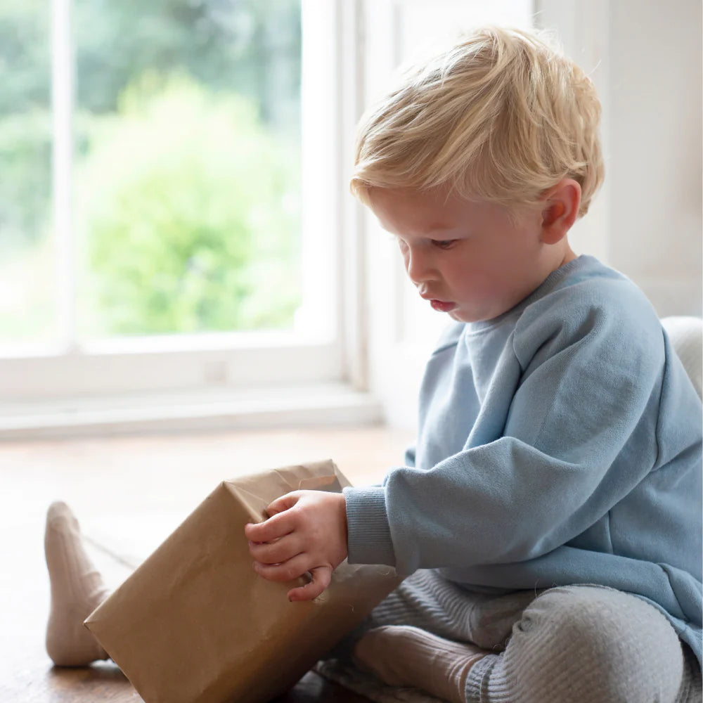 Cornflower Blue Sweatshirt - Bizzybods