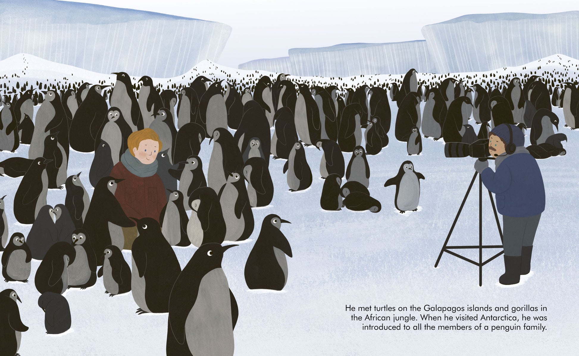 Little People Big Dreams: David Attenborough - Bizzybods