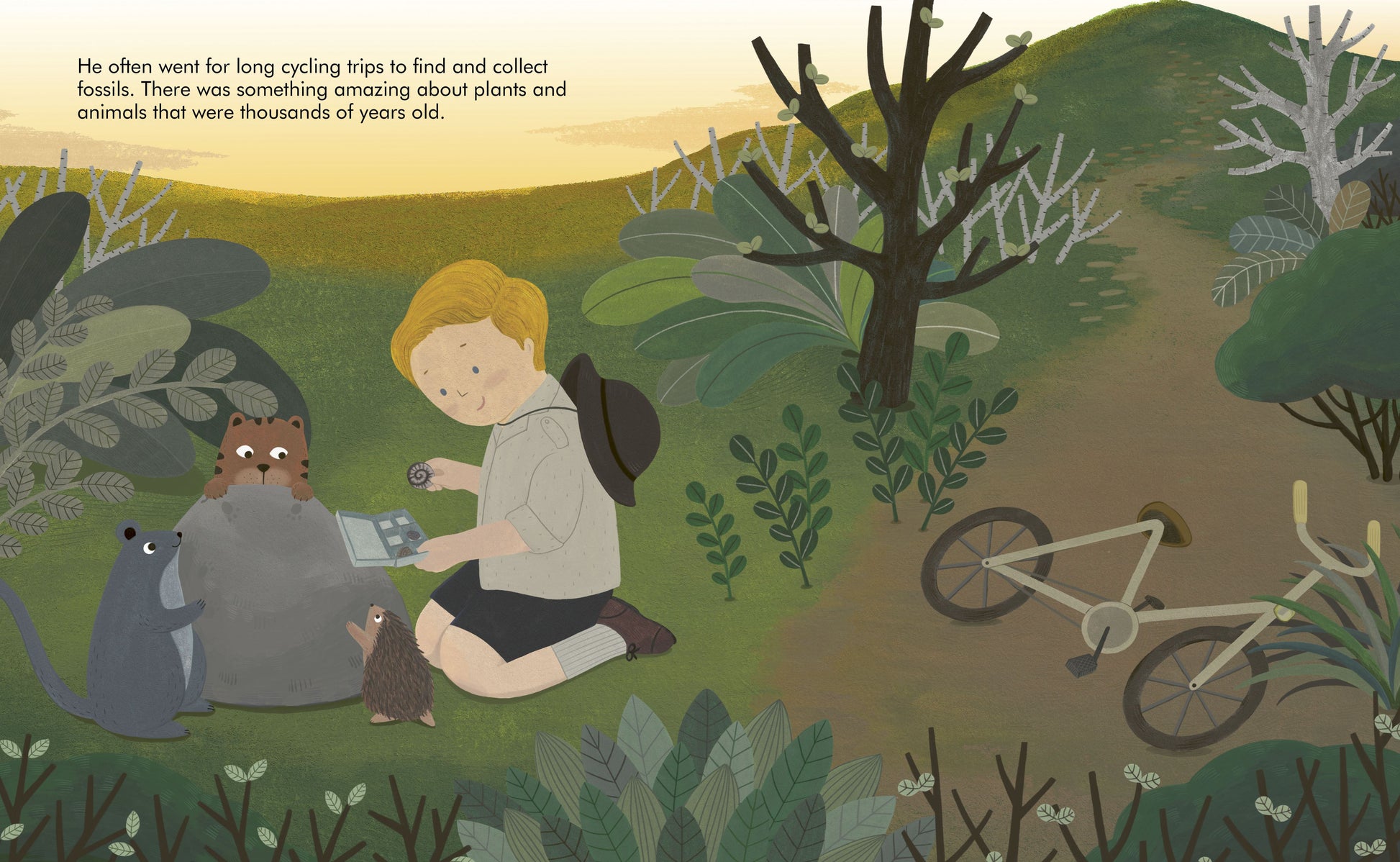 Little People Big Dreams: David Attenborough - Bizzybods