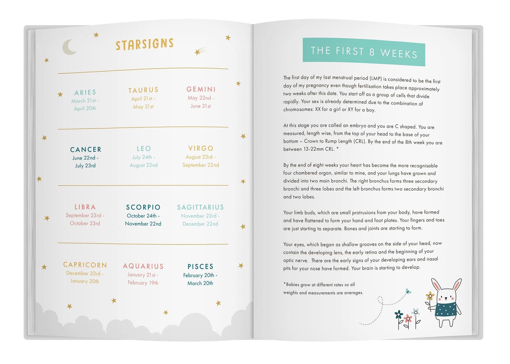 Bump To Birthday: Pregnancy And First Year Journal - Bizzybods