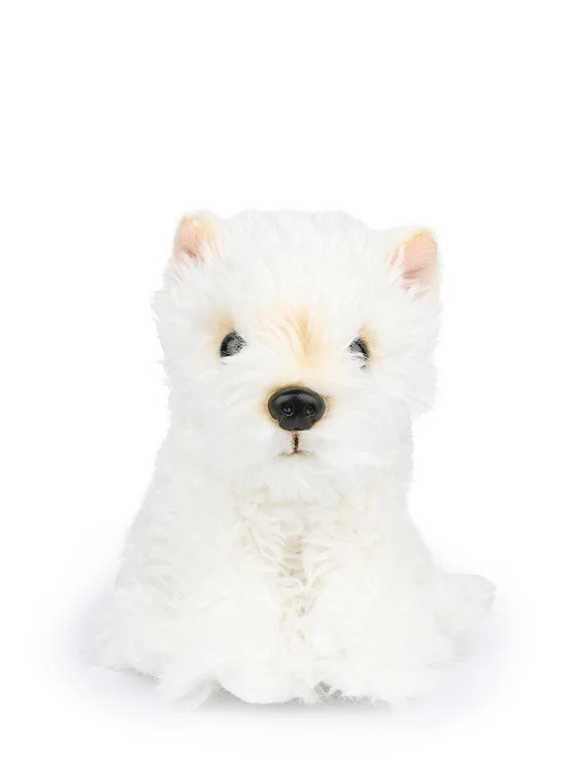 B.T. CHAPS Timothy the Scottish Terrier in Giftbox - 17cm