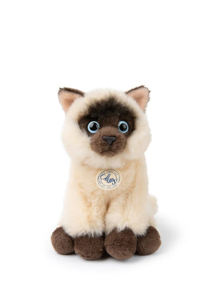 B.T. CHAPS Eddie the Siamese in Giftbox - 17cm