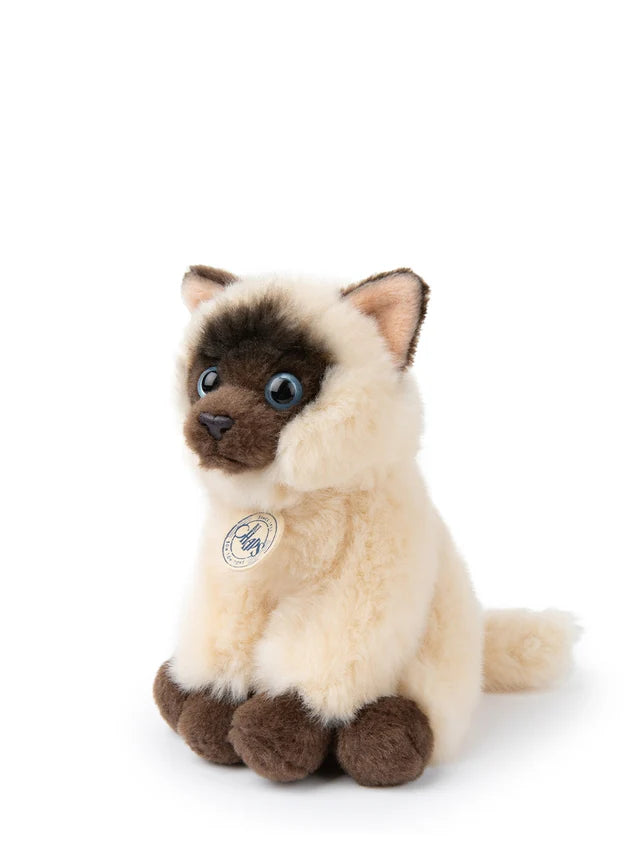 B.T. CHAPS Eddie the Siamese in Giftbox - 17cm