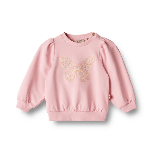 Embroidery Vega Sweatshirt