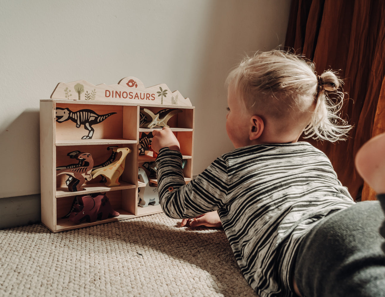 Wooden Dinosaur Set & Shelf