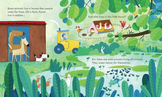 Peep Inside Animal Homes