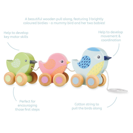 Pull Along Wooden Birdies