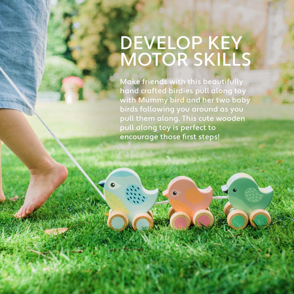 Pull Along Wooden Birdies