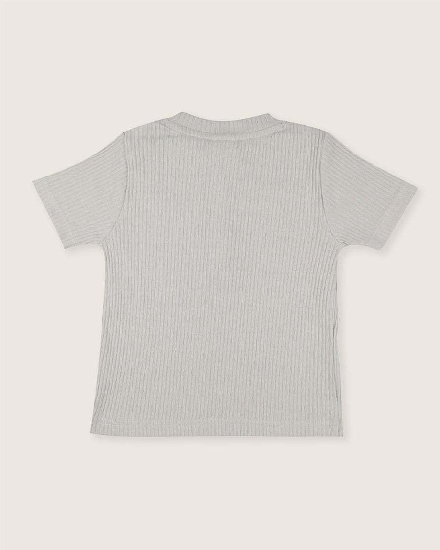 Textured T-shirt & Shorts Set