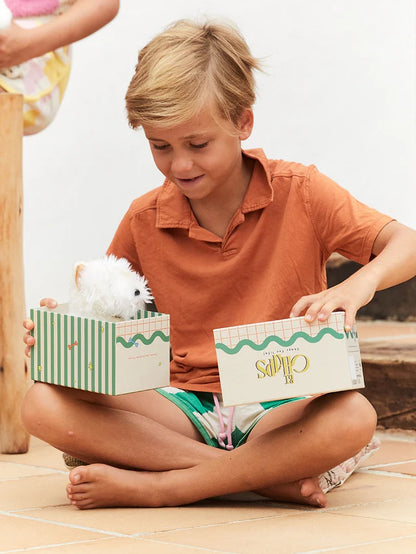 B.T. CHAPS Timothy the Scottish Terrier in Giftbox - 17cm