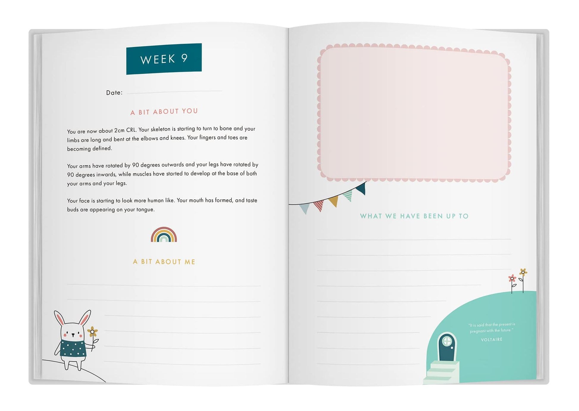 Bump To Birthday: Pregnancy And First Year Journal - Bizzybods